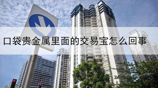 口袋贵金属里面的交易宝怎么回事