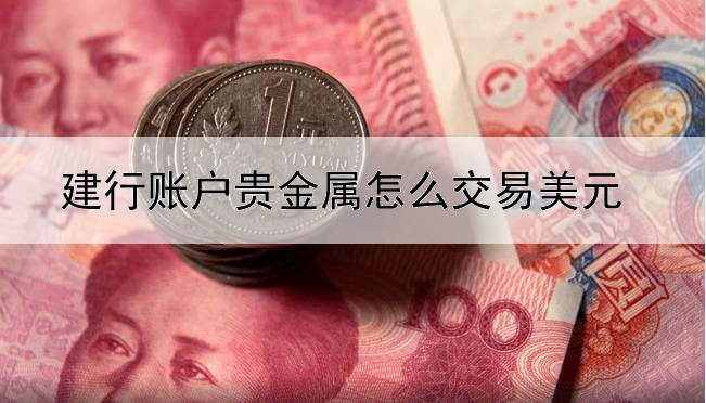 建行账户贵金属怎么交易美元